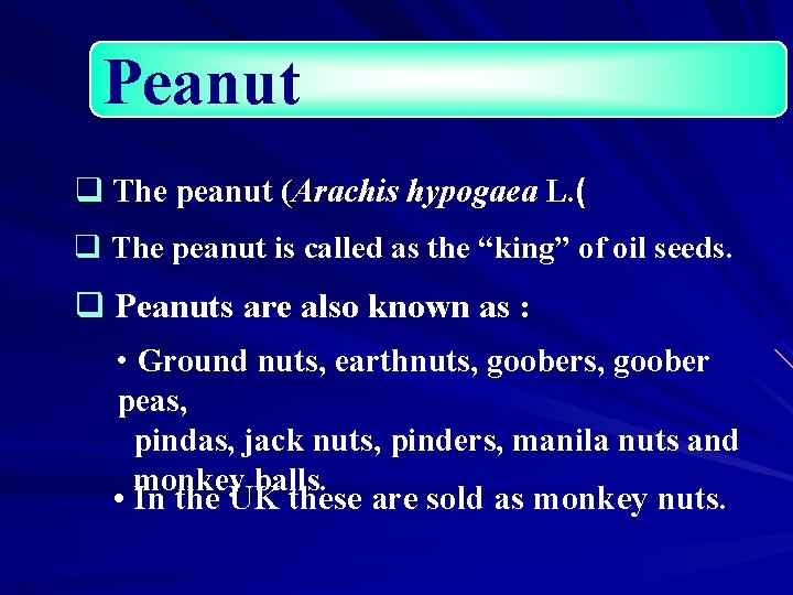 Peanut q The peanut (Arachis hypogaea L. ( q The peanut is called as