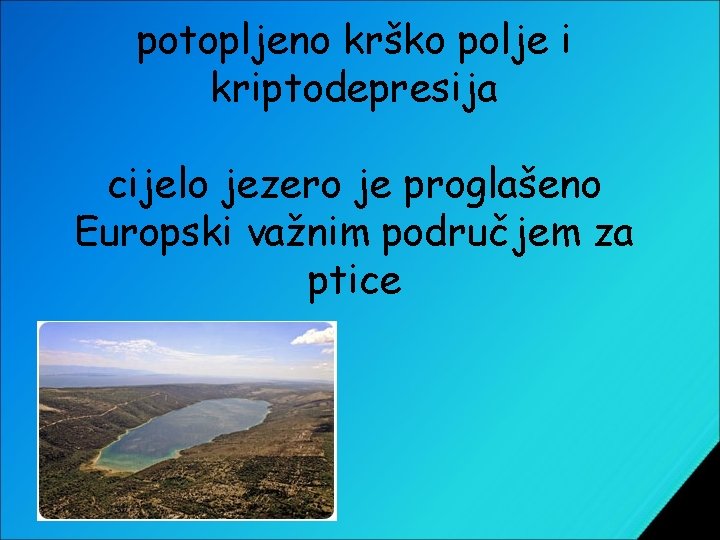 potopljeno krško polje i kriptodepresija cijelo jezero je proglašeno Europski važnim područjem za ptice