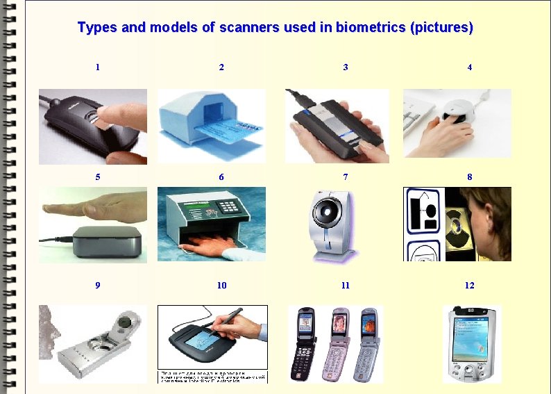 Types and models of scanners used in biometrics (pictures) 1 2 3 4 5