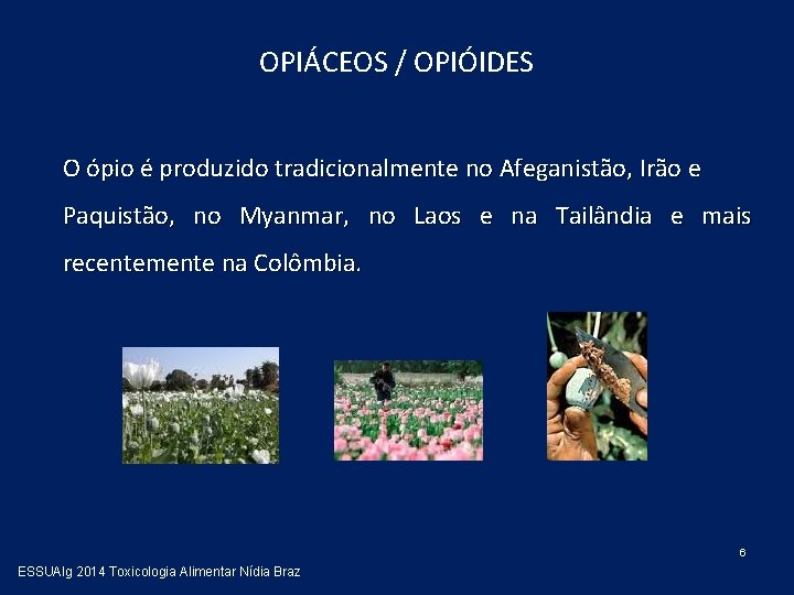 OPIÁCEOS / OPIÓIDES O ópio é produzido tradicionalmente no Afeganistão, Irão e Paquistão, no