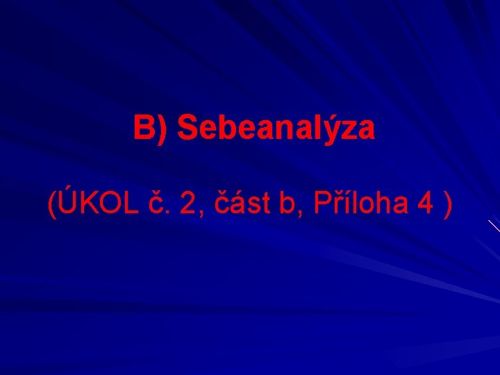  B) Sebeanalýza (ÚKOL č. 2, část b, Příloha 4 ) 