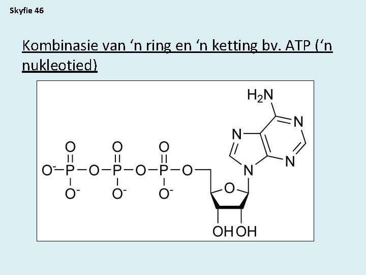 Skyfie 46 Kombinasie van ‘n ring en ‘n ketting bv. ATP (‘n nukleotied) 