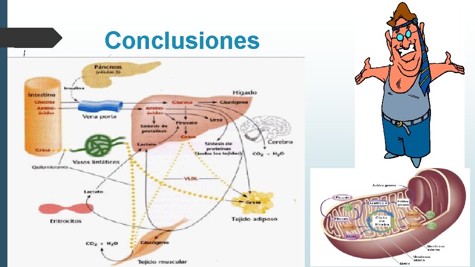 Conclusiones 