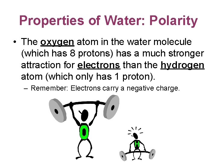 Properties of Water: Polarity • The oxygen atom in the water molecule (which has Properties of Water: Polarity • The oxygen atom in the water molecule (which has
