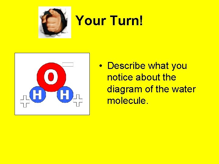 Your Turn! • Describe what you notice about the diagram of the water molecule. Your Turn! • Describe what you notice about the diagram of the water molecule.