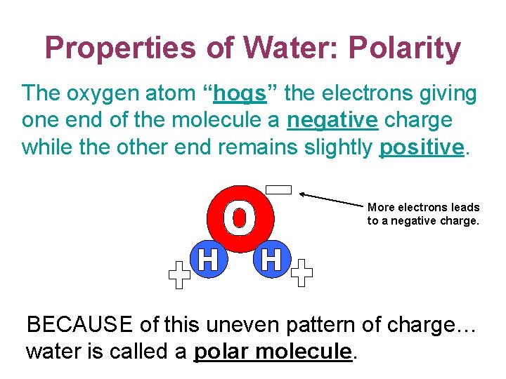Properties of Water: Polarity The oxygen atom “hogs” the electrons giving one end of Properties of Water: Polarity The oxygen atom “hogs” the electrons giving one end of