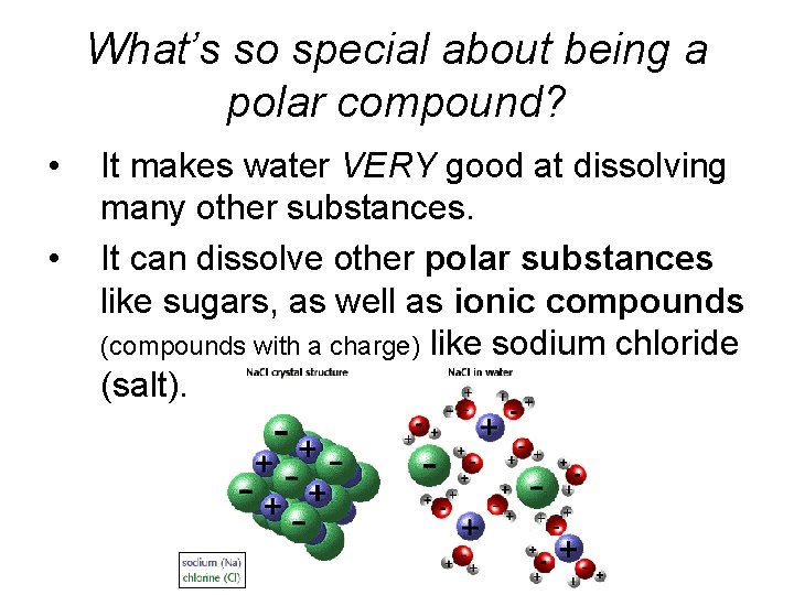 What’s so special about being a polar compound? • • It makes water VERY What’s so special about being a polar compound? • • It makes water VERY