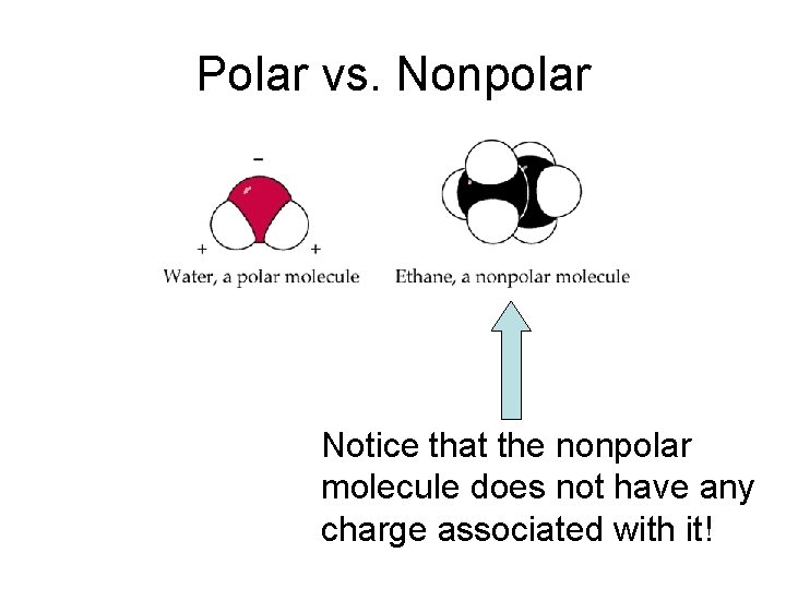 Polar vs. Nonpolar Notice that the nonpolar molecule does not have any charge associated Polar vs. Nonpolar Notice that the nonpolar molecule does not have any charge associated