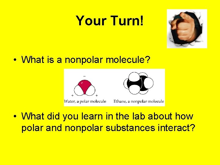 Your Turn! • What is a nonpolar molecule? • What did you learn in Your Turn! • What is a nonpolar molecule? • What did you learn in