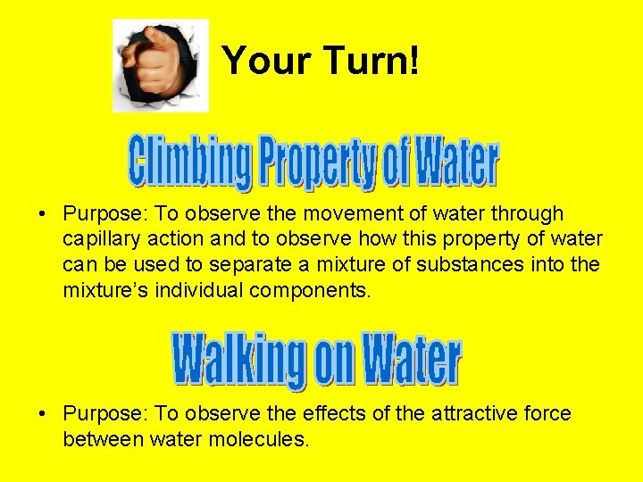 Your Turn! • Purpose: To observe the movement of water through capillary action and Your Turn! • Purpose: To observe the movement of water through capillary action and