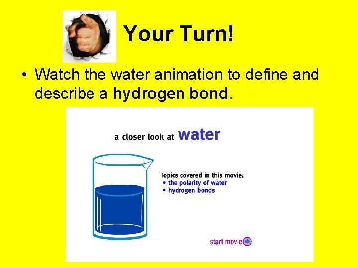 Your Turn! • Watch the water animation to define and describe a hydrogen bond. Your Turn! • Watch the water animation to define and describe a hydrogen bond.
