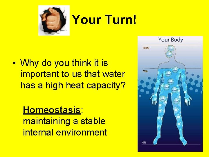 Your Turn! • Why do you think it is important to us that water Your Turn! • Why do you think it is important to us that water