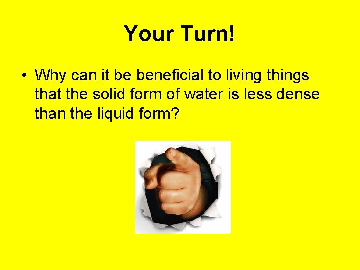 Your Turn! • Why can it be beneficial to living things that the solid Your Turn! • Why can it be beneficial to living things that the solid
