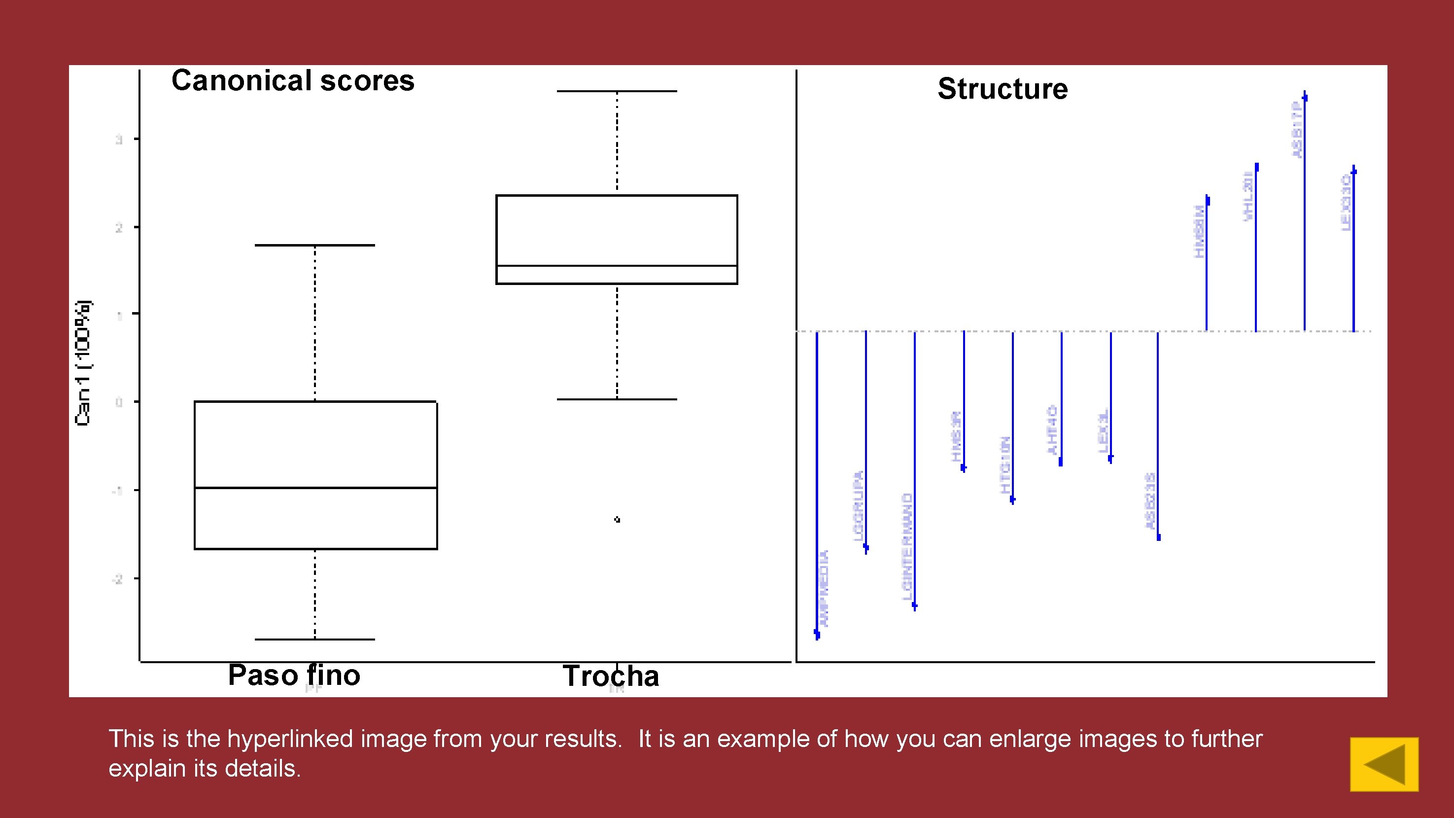 Canonical scores Paso fino Structure Trocha This is the hyperlinked image from your results.