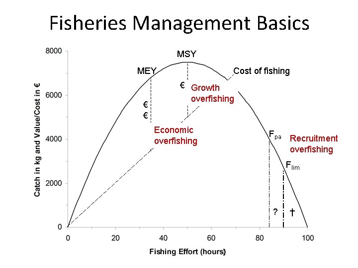 Fisheries Management Basics MSY MEY € € Cost of fishing € Growth overfishing Economic