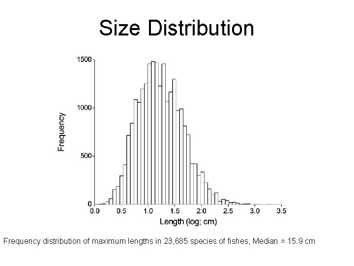 Size Distribution Frequency distribution of maximum lengths in 23, 685 species of fishes, Median