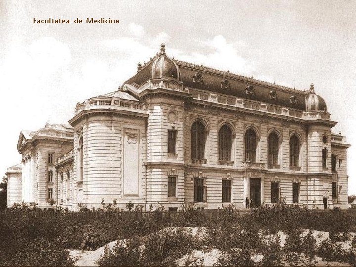 Facultatea de Medicina 