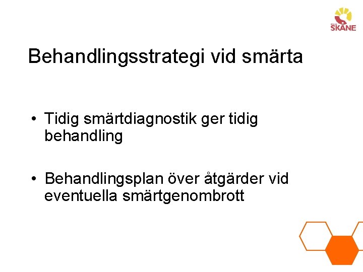 Behandlingsstrategi vid smärta • Tidig smärtdiagnostik ger tidig behandling • Behandlingsplan över åtgärder vid