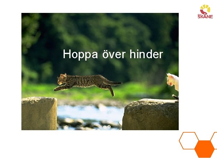 Hoppa över hinder 