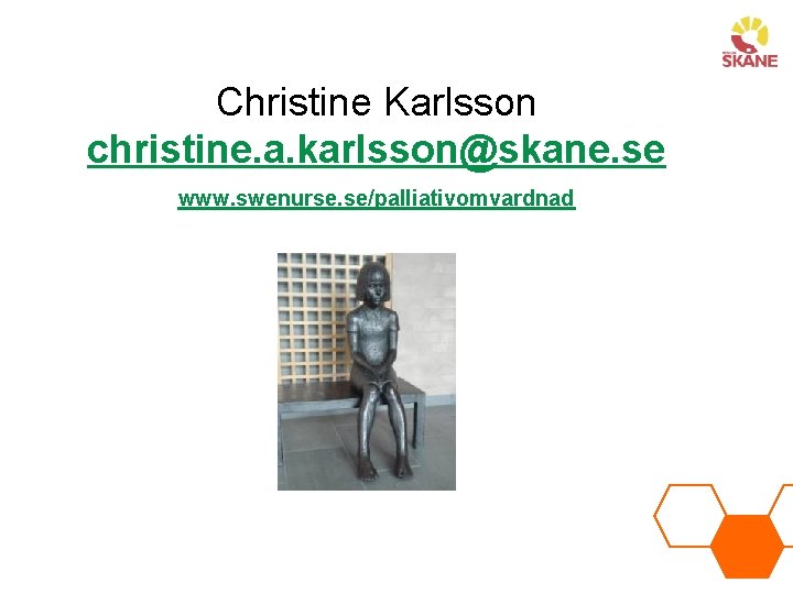 Christine Karlsson christine. a. karlsson@skane. se www. swenurse. se/palliativomvardnad 