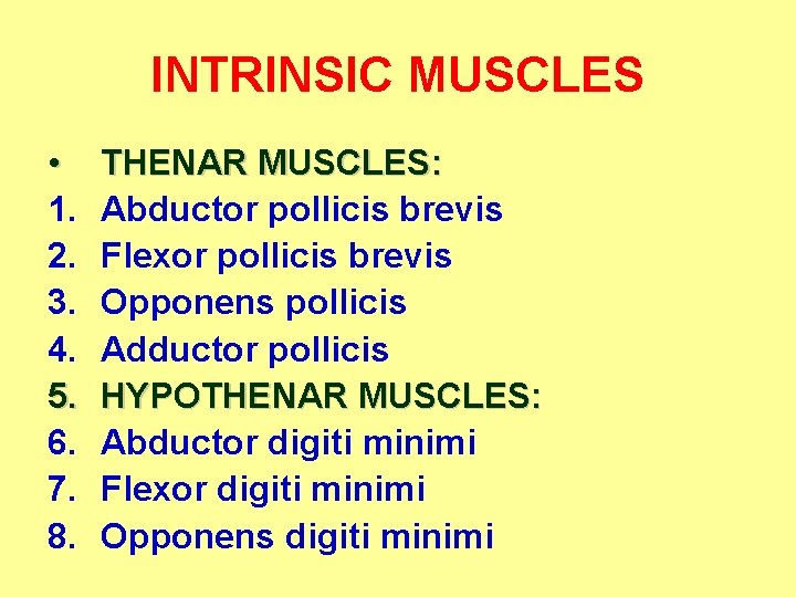 INTRINSIC MUSCLES • 1. 2. 3. 4. 5. 6. 7. 8. THENAR MUSCLES: Abductor