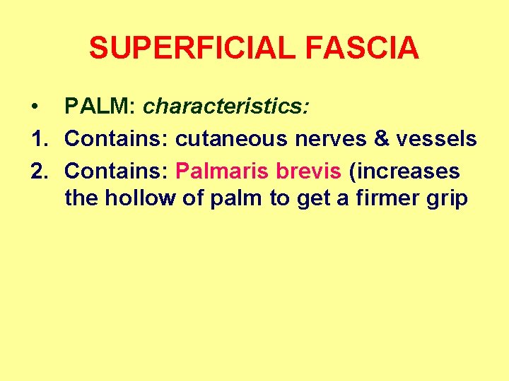 SUPERFICIAL FASCIA • PALM: characteristics: 1. Contains: cutaneous nerves & vessels 2. Contains: Palmaris