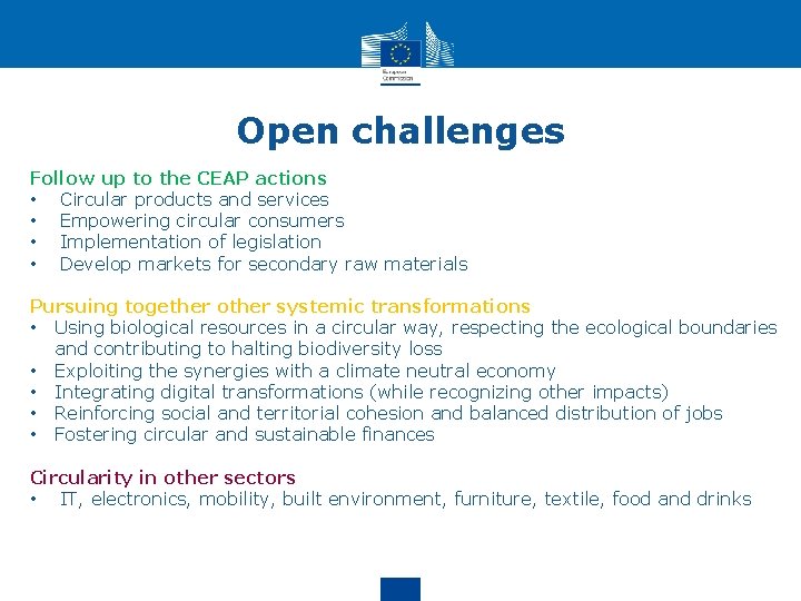 Open challenges Follow up to the CEAP actions • Circular products and services •