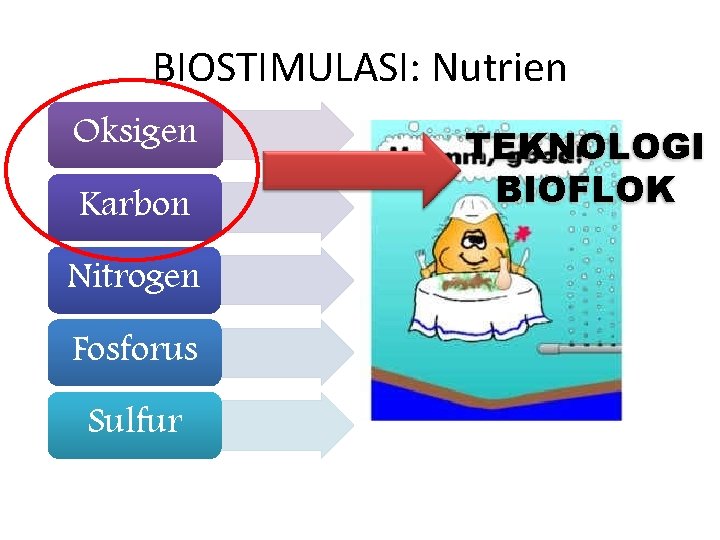 BIOSTIMULASI: Nutrien Oksigen Karbon Nitrogen Fosforus Sulfur TEKNOLOGI BIOFLOK 