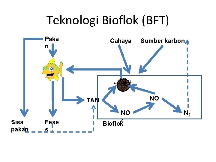 Teknologi Bioflok (BFT) Paka n Cahaya Sumber karbon NO TAN 3 NO Sisa pakan