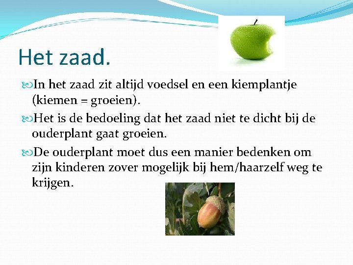 Het zaad. In het zaad zit altijd voedsel en een kiemplantje (kiemen = groeien).