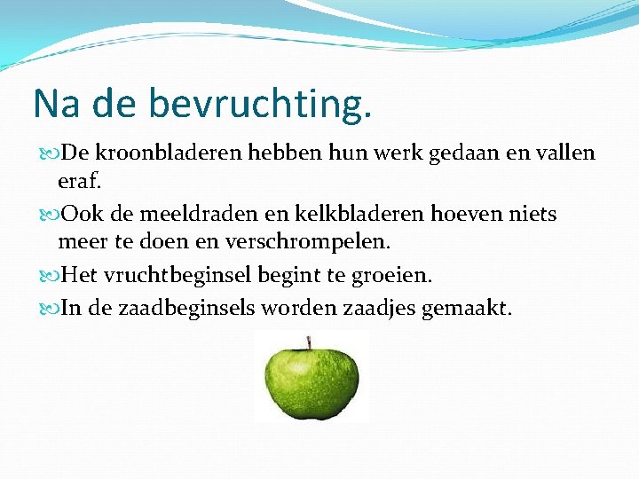 Na de bevruchting. De kroonbladeren hebben hun werk gedaan en vallen eraf. Ook de