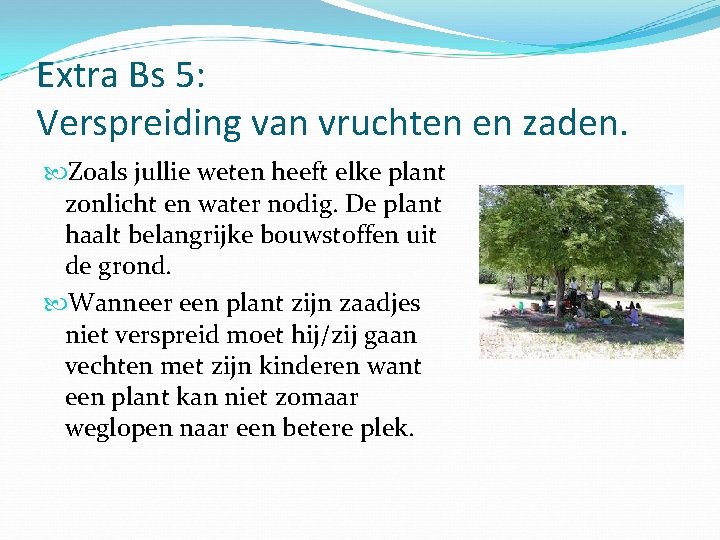 Extra Bs 5: Verspreiding van vruchten en zaden. Zoals jullie weten heeft elke plant