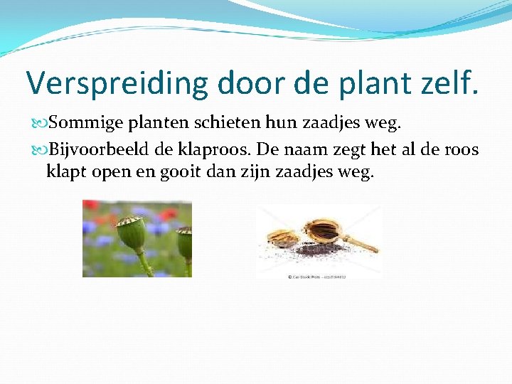 Verspreiding door de plant zelf. Sommige planten schieten hun zaadjes weg. Bijvoorbeeld de klaproos.