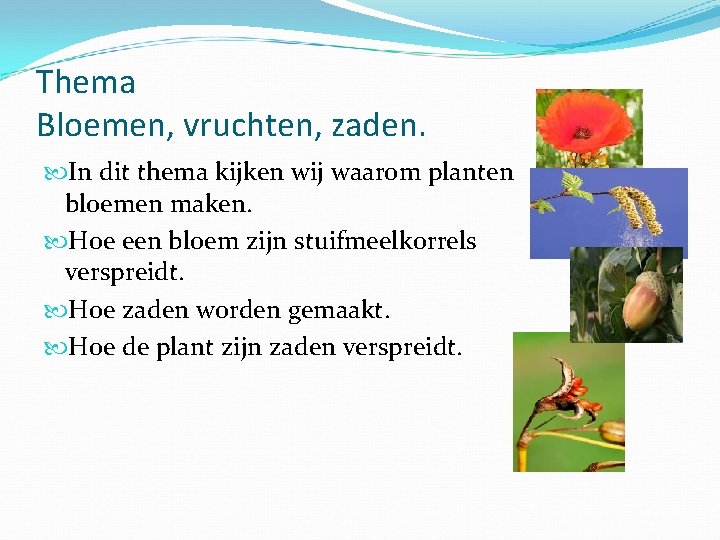 Thema Bloemen, vruchten, zaden. In dit thema kijken wij waarom planten bloemen maken. Hoe