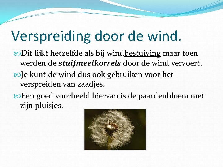 Verspreiding door de wind. Dit lijkt hetzelfde als bij windbestuiving maar toen werden de
