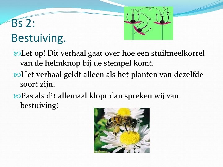 Bs 2: Bestuiving. Let op! Dit verhaal gaat over hoe een stuifmeelkorrel van de