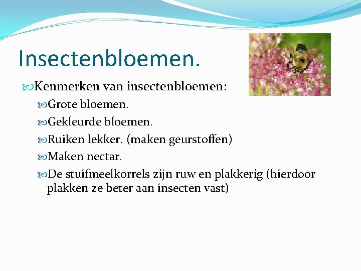 Insectenbloemen. Kenmerken van insectenbloemen: Grote bloemen. Gekleurde bloemen. Ruiken lekker. (maken geurstoffen) Maken nectar.
