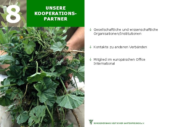8 UNSERE KOOPERATIONSPARTNER â Gesellschaftliche und wissenschaftliche Organisationen/Institutionen â Kontakte zu anderen Verbänden â