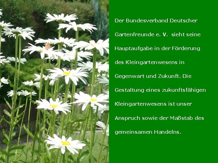 Der Bundesverband Deutscher Gartenfreunde e. V. sieht seine Hauptaufgabe in der Förderung des Kleingartenwesens