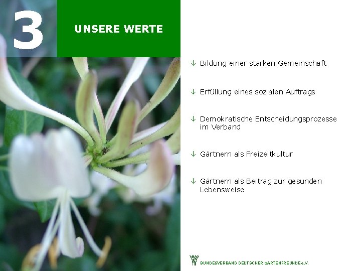 3 UNSERE WERTE â Bildung einer starken Gemeinschaft â Erfüllung eines sozialen Auftrags â