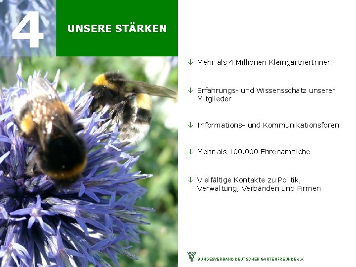 4 UNSERE STÄRKEN â Mehr als 4 Millionen Kleingärtner. Innen â Erfahrungs- und Wissensschatz
