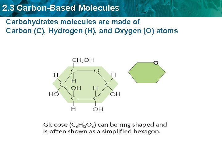 2. 3 Carbon-Based Molecules Carbohydrates molecules are made of Carbon (C), Hydrogen (H), and