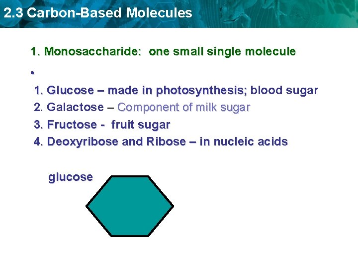 2. 3 Carbon-Based Molecules 1. Monosaccharide: one small single molecule • 1. Glucose –