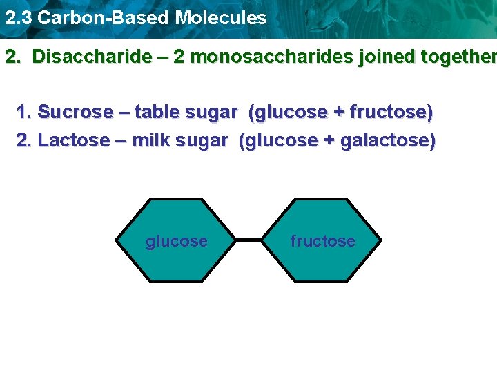 2. 3 Carbon-Based Molecules 2. Disaccharide – 2 monosaccharides joined together 1. Sucrose –