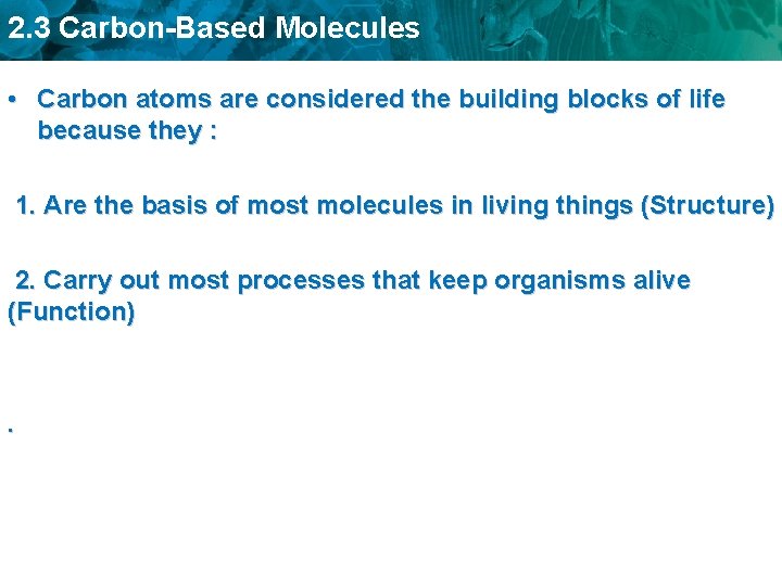 2. 3 Carbon-Based Molecules • Carbon atoms are considered the building blocks of life