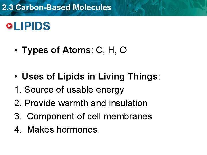 2. 3 Carbon-Based Molecules LIPIDS • Types of Atoms: C, H, O • Uses