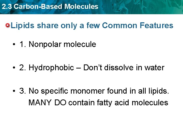 2. 3 Carbon-Based Molecules Lipids share only a few Common Features • 1. Nonpolar