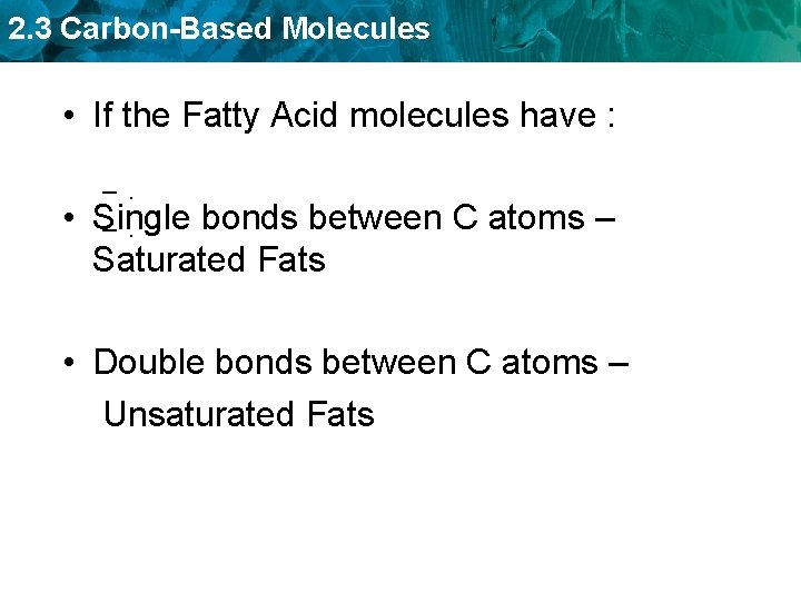 2. 3 Carbon-Based Molecules • If the Fatty Acid molecules have : • –.