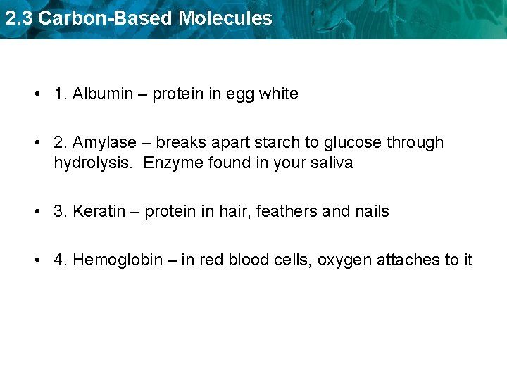 2. 3 Carbon-Based Molecules • 1. Albumin – protein in egg white • 2.