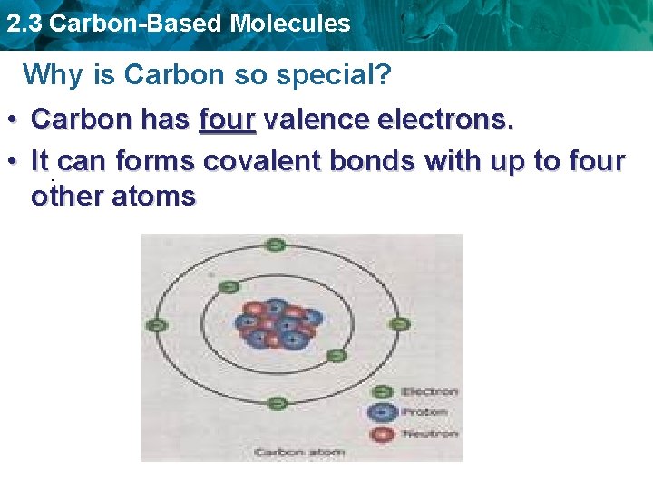 2. 3 Carbon-Based Molecules Why is Carbon so special? • Carbon has four valence